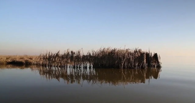 Un petit goût d’Italie à Stockholm avec Elena Mazzi