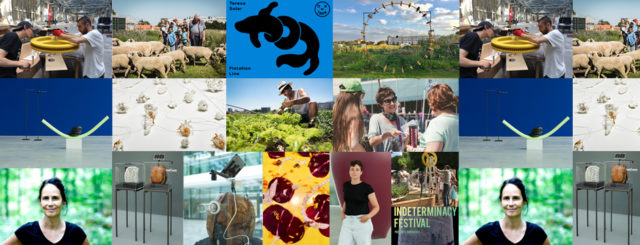 2018, a busy year for the Fund and its artists